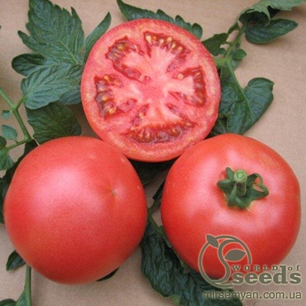 Томат Томат