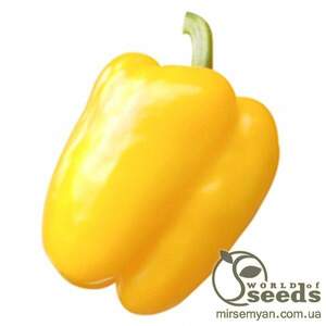 Перець "Герардо" F1 500 с, HAZERA (Хазера)