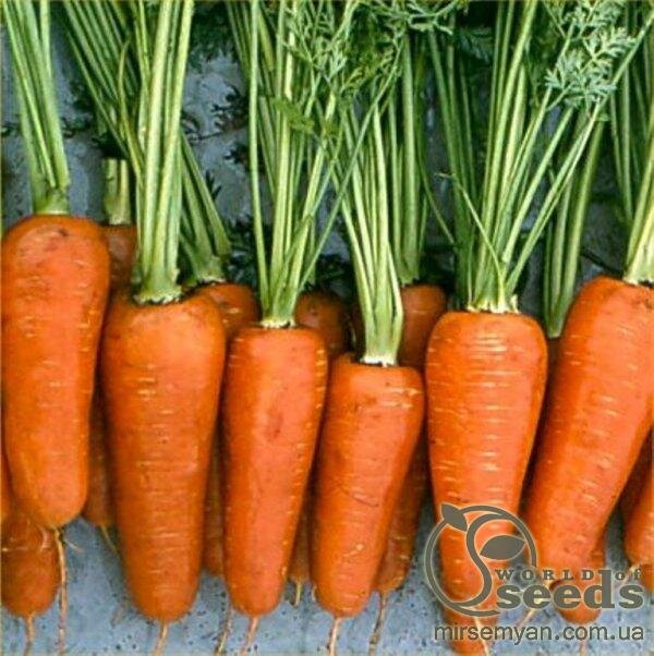 Морква "Комет" 500 г. Хазера, (Hazera) Морква "Комет" 500 г. Хазера, (Hazera)