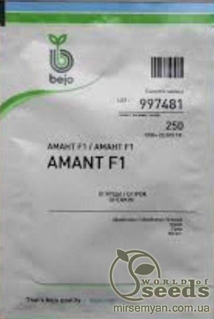 Огірок Огірок