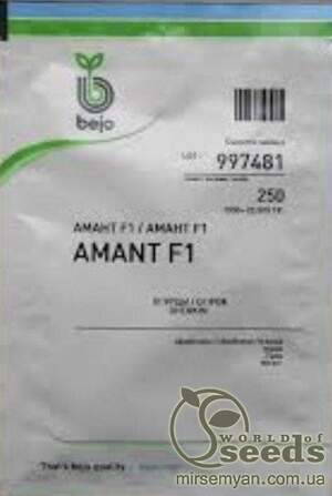 Огірок "Амант" F1 250 семена Bejo (Бейо)