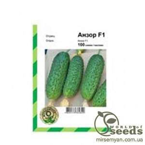 Огірок "Анзор" F1 100 с. Bejo (Бейо)