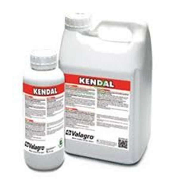 КЕНДАЛ / КЕНДАЛ - Активатор власного імунітету рослини 5 л, Valagro КЕНДАЛ / КЕНДАЛ - Активатор власного імунітету рослини 5 л, Valagro