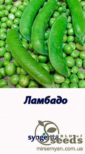 Горох овочевий Ламбадо - 100 г. (Syngenta) WoS