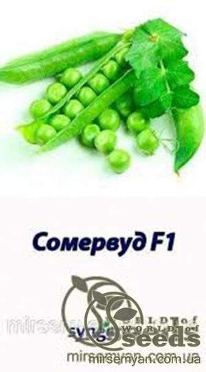 Горох овочевий Сомервуд - 5000н. Syngenta WoS Горох овочевий Сомервуд - 5000н. Syngenta WoS