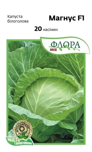 Капуста Капуста