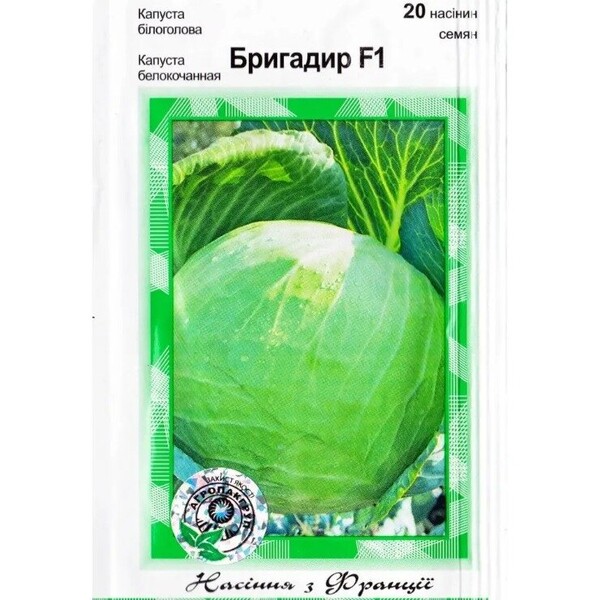 Капуста білокачанна Бригадир F1 - 20 насінин А (Clause Tezier) Капуста білокачанна Бригадир F1 - 20 насінин А (Clause Tezier)