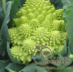 Капуста цвітна "Вердоне" F1 - 20 насінин (Enza Zaden)