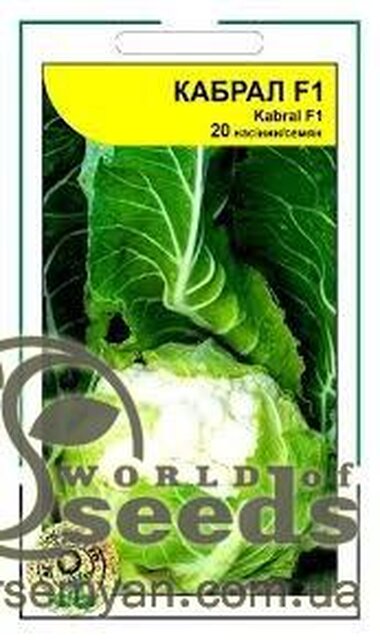 Капуста цвітна Кабрал F1 20 н. А (Syngenta) Капуста цвітна Кабрал F1 20 н. А (Syngenta)