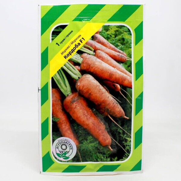 Морква Морква