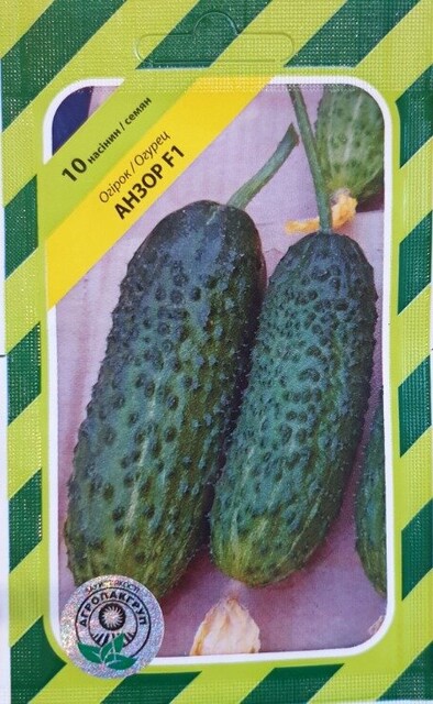 Огірок Огірок