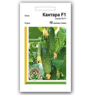 Огірок Кантара F1 10н. А Рійк Цваан/(Rijk Zwaan)