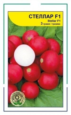 Редис Стелар F1  3г. А. (Syngenta)