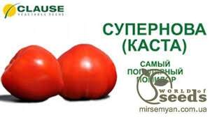 Томат Каста (Супернова) F1 1000 насінин, (Clause)