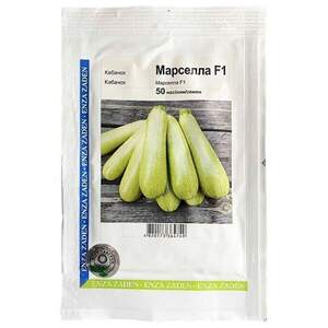 Насіння кабачка "Марселла" F1 50 с. А (Enza Zaden / Енза Заден)