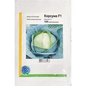 Капуста "Корсума" F1 - 100 насінин А (Rijk Zwaan)