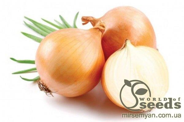 Цибуля Кенді F1 - 20 г (Seminis) Цибуля Кенді F1 - 20 г (Seminis)
