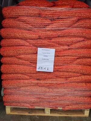 Цибуля саджанка озима Шекспір/ Shakespeare 10 кг Netherlands Цибуля саджанка озима Шекспір/ Shakespeare 10 кг Netherlands