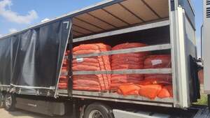 Цибуля саджанка озима Шекспір/ Shakespeare 10 кг Netherlands Цибуля саджанка озима Шекспір/ Shakespeare 10 кг Netherlands