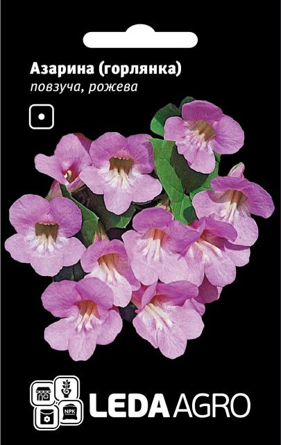 Азаріна повзуча, рожева 4шт. L (Hem Zaden BV Нідерланди) Азаріна повзуча, рожева 4шт. L (Hem Zaden BV Нідерланди)