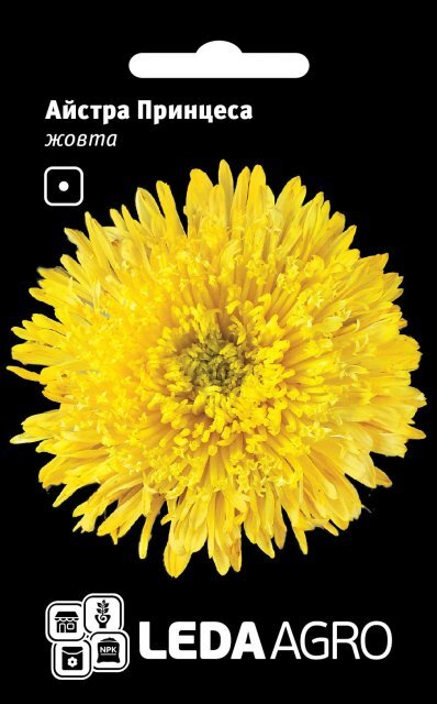 Астра Астра