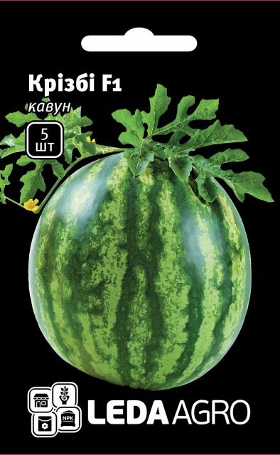 Насіння кавун Насіння кавун