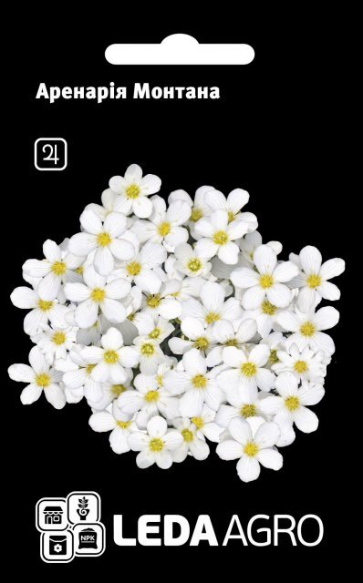 Насіння Аренарія Монтана 0,02г. L (Hem Zaden BV Нідерланди) Насіння Аренарія Монтана 0,02г. L (Hem Zaden BV Нідерланди)