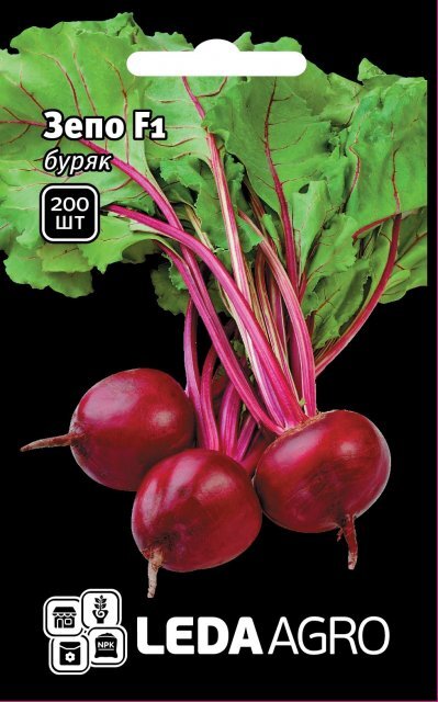 Буряк столовий Зепо F1 200 нас, L (Rijk Zwaan) Буряк столовий Зепо F1 200 нас, L (Rijk Zwaan)