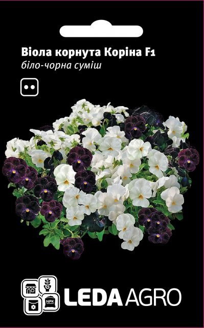 Насіння віоли Корина F1 біло-чорна суміш, фасовка 10 семена L (Hem Zaden BV Нідерланди) Насіння віоли Корина F1 біло-чорна суміш, фасовка 10 семена L (Hem Zaden BV Нідерланди)