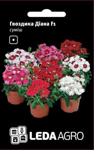 Гвоздика китайська "Діана" суміш 10 семена L (Hem Zaden BV Нідерланди)
