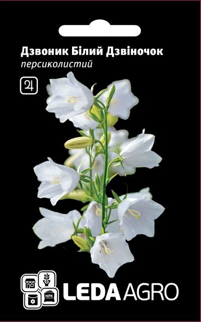 Дзвіночок персиколистний "Дзвіночок білий" 0,1 г. L (Hem Zaden BV Netherlands) Дзвіночок персиколистний "Дзвіночок білий" 0,1 г. L (Hem Zaden BV Netherlands)