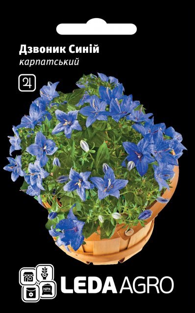 Дзвіночок Карпатський синій 0,1 г. L (Hem Zaden BV Netherlands) Дзвіночок Карпатський синій 0,1 г. L (Hem Zaden BV Netherlands)