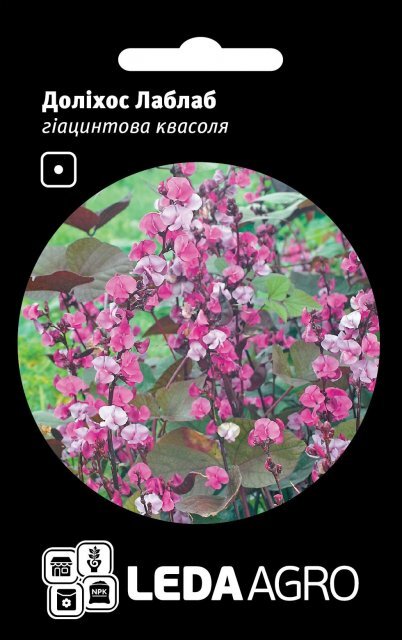 Долихос Лаблаб фіолетовий 1г .L (Hem Zaden BV Netherlands) Долихос Лаблаб фіолетовий 1г .L (Hem Zaden BV Netherlands)