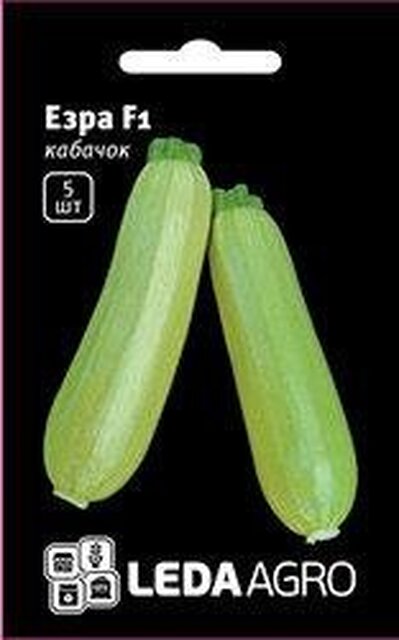 Кабачок Езра F1 - 5 семена L (Hazera) Кабачок Езра F1 - 5 семена L (Hazera)