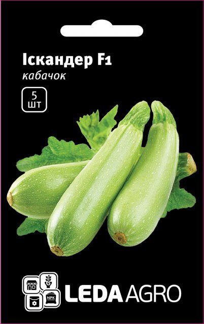 Кабачок Іскандер F1 - 5 семена L (Seminis) Кабачок Іскандер F1 - 5 семена L (Seminis)