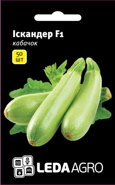 Кабачок Іскандер F1 - 50 семена L(Seminis) Кабачок Іскандер F1 - 50 семена L(Seminis)