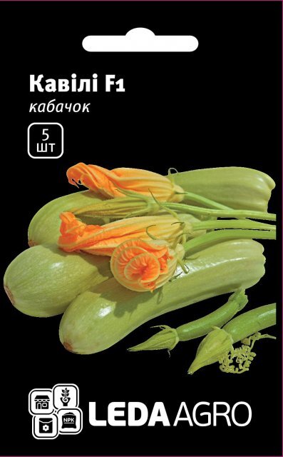 Кабачок Кавілі F1 - 5 семена L (Нунемс / Nunhems) Кабачок Кавілі F1 - 5 семена L (Нунемс / Nunhems)