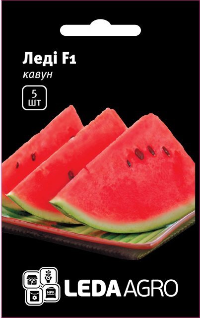Кавун Леді F1 - 5 семена L (Нунемс / Nunhems) Кавун Леді F1 - 5 семена L (Нунемс / Nunhems)