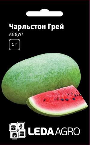 Кавун Чарльстон Грей F1 - 5 семена L (Clause)