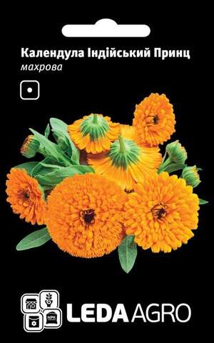 Календула Індійський Принц, махрова 0.5 г. L (Hem Zaden BV Netherlands)