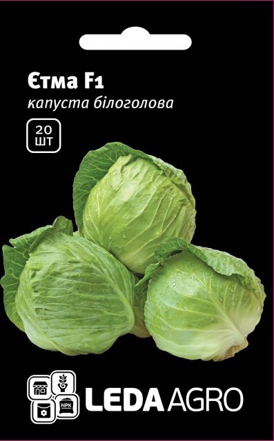 Насіння капусти Етма F1 20 семена L (Рійк Цваан/Rijk Zwaan) Насіння капусти Етма F1 20 семена L (Рійк Цваан/Rijk Zwaan)