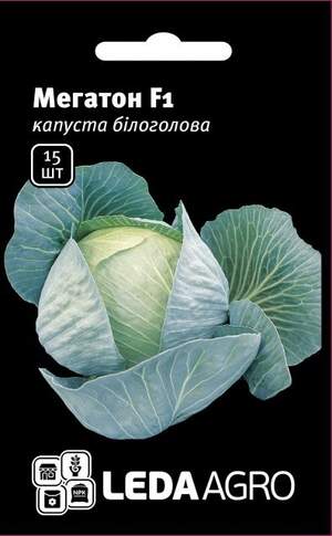 Насіння капусти Мегатон F1 15 семена L (Бейо / Bejo Zaden)