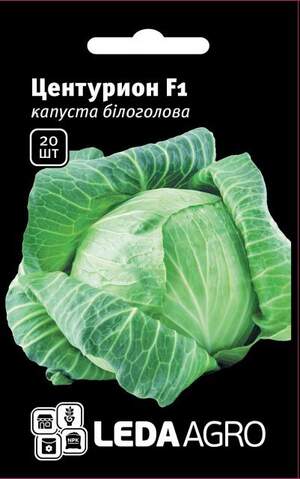 Насіння капусти білокачанної Центуріон F1 20 семена L (Clause)