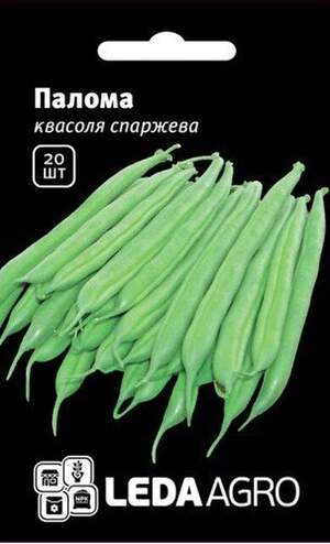 Насіння квасолі спаржевої зеленої Палома 20 семена L (Nunhems)