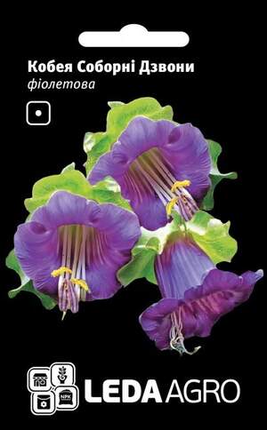 Кобея Кафедральні дзвони фіолетова 0.2 г. L (Hem Zaden BV Netherlands)