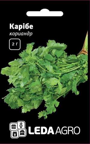 Коріандр Карібе/Caribe 2г. L (Bejo)