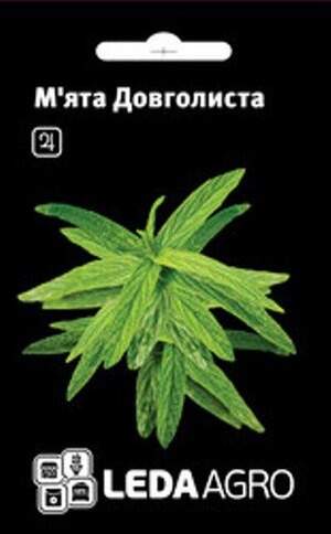 Насіння М'яти довголистої 0.05 г. L (Hem Zaden BV Netherlands)