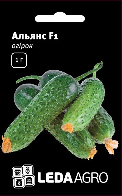 Огірок "Атлантіс" F1 1г. L (Бейо / Bejo Zaden) Огірок "Атлантіс" F1 1г. L (Бейо / Bejo Zaden)