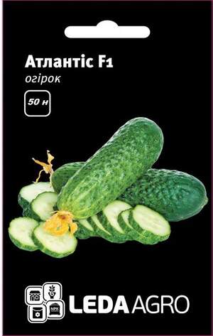 Огірок "Атлантіс" F1 50 семена L (Бейо / Bejo Zaden)