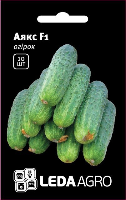 Огірок Огірок